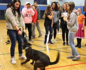 High school girl wearing a gray sweatshirt holds one end of a tug toy while a medium short-haird dog tugs on the other. Several girls stand around watching and smiling