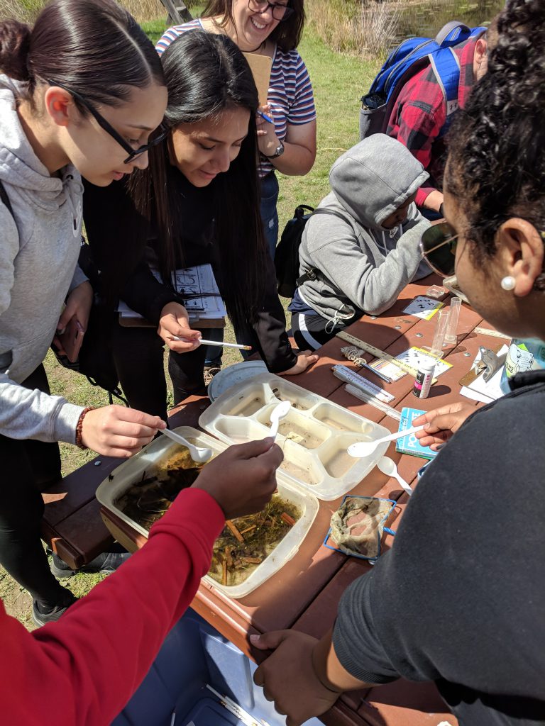 Students leaning over a table looking at samples of water.