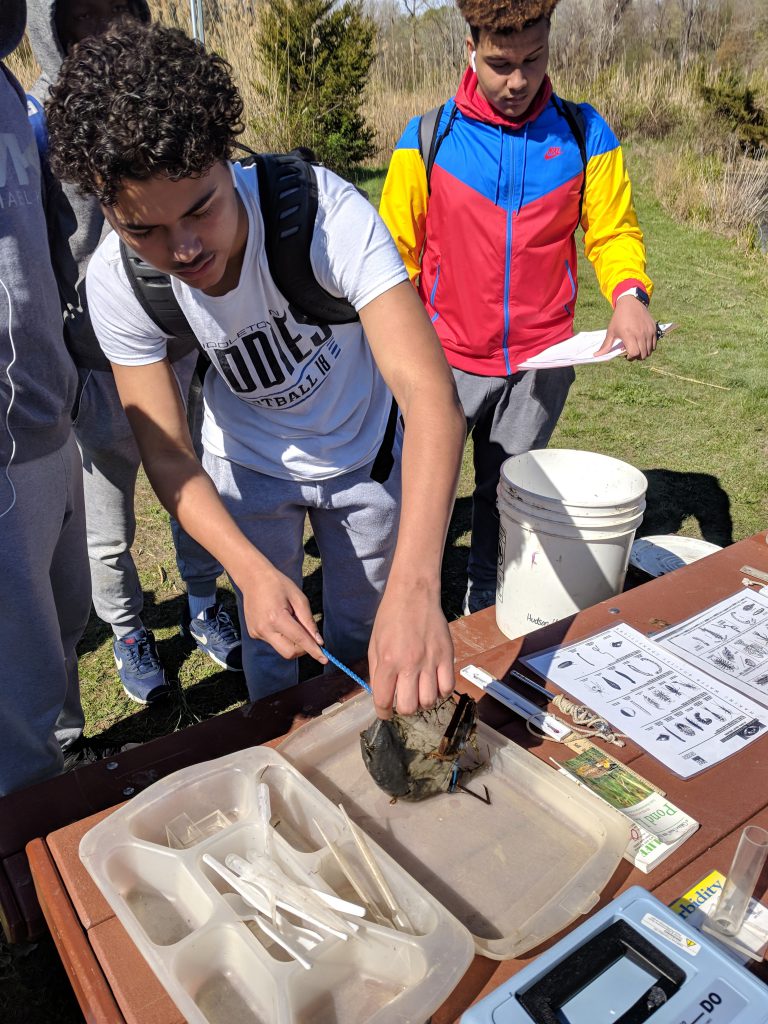 A male student with a small net, taking the materials from the pond out of the net