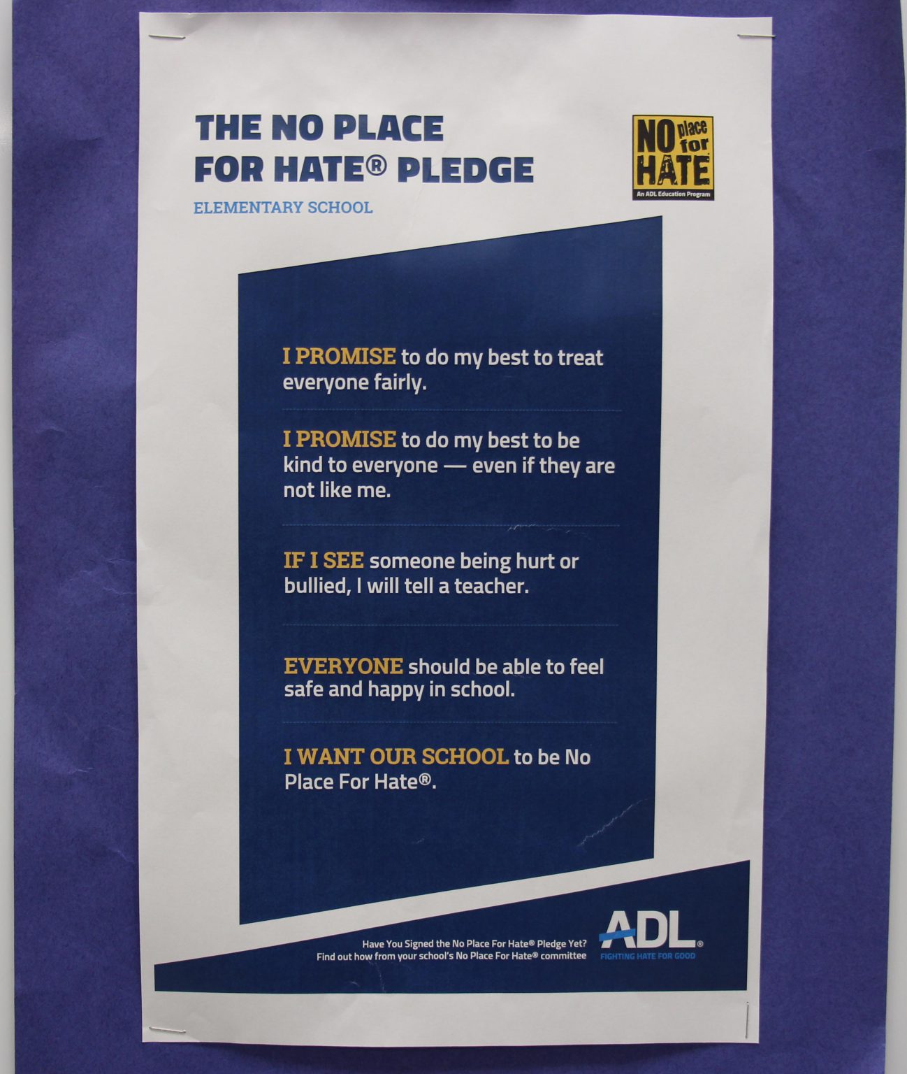 PBE students are living the 'No Place for Hate' pledge Pine Bush