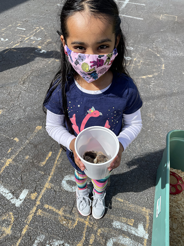 A girl with long dark hair holds a plastic cup with a chick in it. She is wearing a purple shirt with long white sleeves and a printed mask.