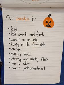 A large lined piece of poster paper that says Our Pumpkin is: big, has seeds and flesh,, smooth on one side, bumpy on the other side, orange, slippery seeds, stringy and sticky flesh, has a stem, now a jack-o-lantern. There is a little orange jack-o-lantern drawn in the top right corner.