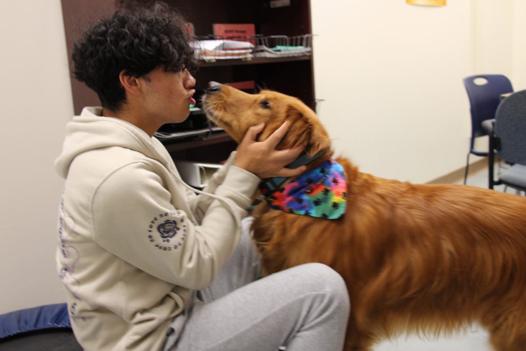 A boy with curly brown hair, wearing a sweatshirt and sweatpants has his face right next to a dog's face. The dog has long reddish hair and is wearing a tie-dye bandana.