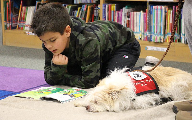 A small white dog with a red vest lies on the floor next to a little boy with short black hair. The boy is on his knees and elbows reading a book.