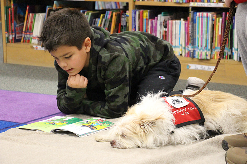 A small white dog with a red vest lies on the floor next to a little boy with  short black hair. The boy is on his knees and elbows reading a book.