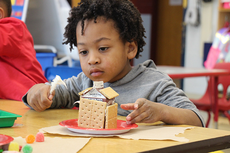 A prek boy with a gray shirt and sleeves rolled up, with short dark curly hair, looks very intent as he puts icing on his gingerbread house.