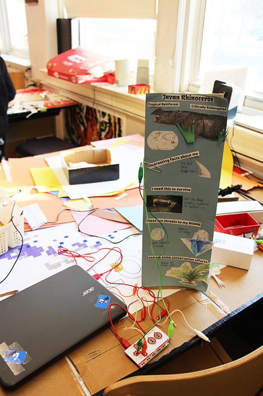 A table near a window. There is a chromebook on the table with wires coming from it and going into a board at various places. The board has information and pictures on it about a Javan rhinoceros.