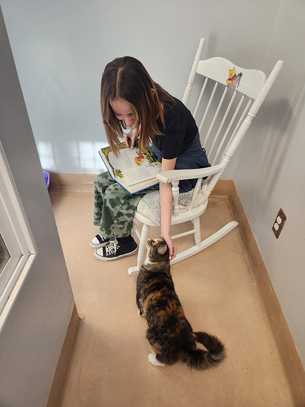 A middle school student with shoulder-length brown hair sits on a white rocking chair with a book open and pets a multi-colored cat.