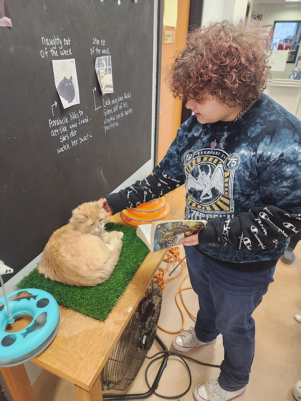 A middle-school student with short curly hair pets a buff colored cat, which is sitting on a tuft of artificial grass.