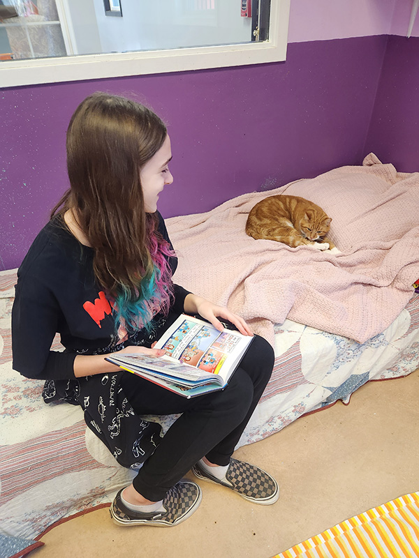 A middle school student with long dark hair sits on a bed with a book open. There is an orange cat  curled up on the bed.