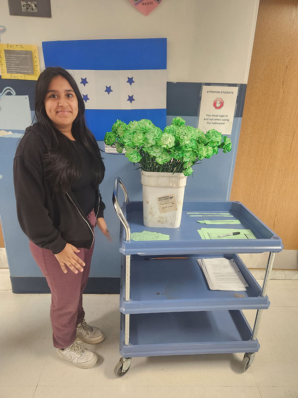 A middle school student with long dark hair, wearing a dark shirt smiles as she pushes a cart that has a white container filled with green carnations.