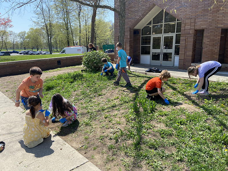 A group of five students are weeding a garden.