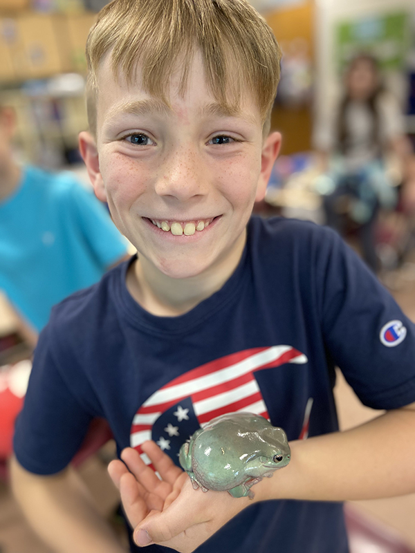 A fourth-grade boy with blonde hair, wearing a blue tshirt smiles broadly as he holds a shiny green frog.