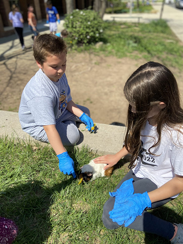 Two fourth-grade students pet a guinea pig in the grass.