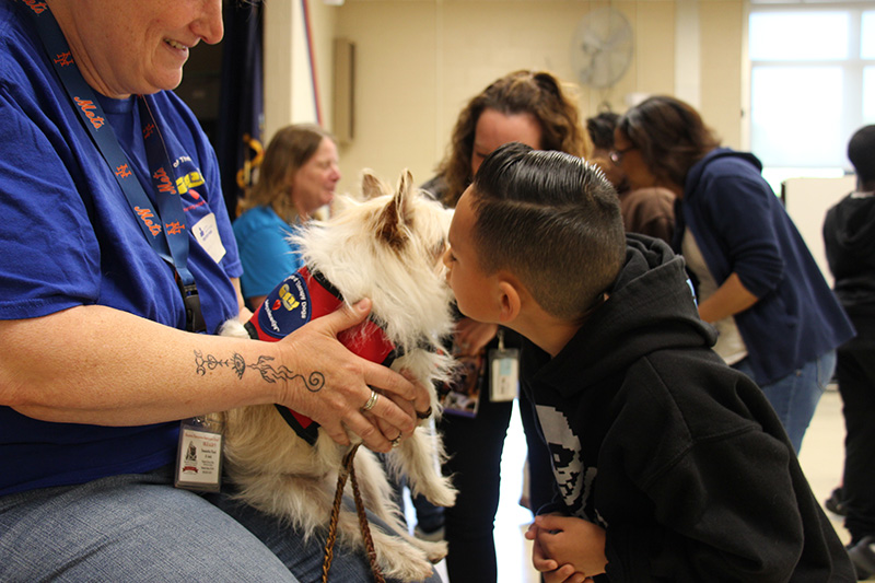 A boy with short black hair kisses a little white dog who is being held by a woman wearing a blue shirt.