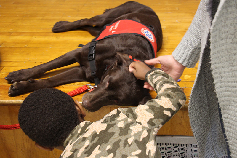 A boy wearing a green camouflage shirt bends down and leans in to a chocolate lab who is laying on a stage.