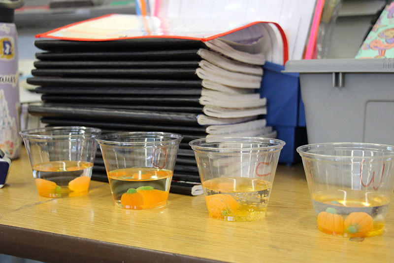 Four clear cups hold clear liquids. In each cup, are a couple of candy pumpkins.