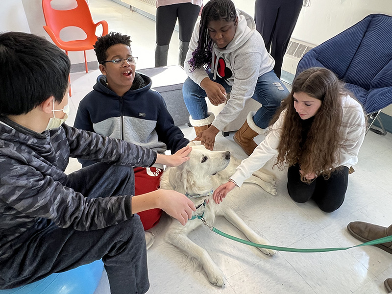 A group of four middle school students sit on the floor petting a large white dog.
