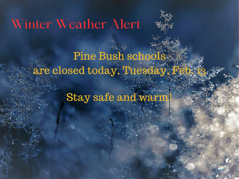 A blue background with icy plants. It says Winter Weather Alert. Pine Bush schools are closed today, Tuesday, Feb. 13. Stay safe and warm.