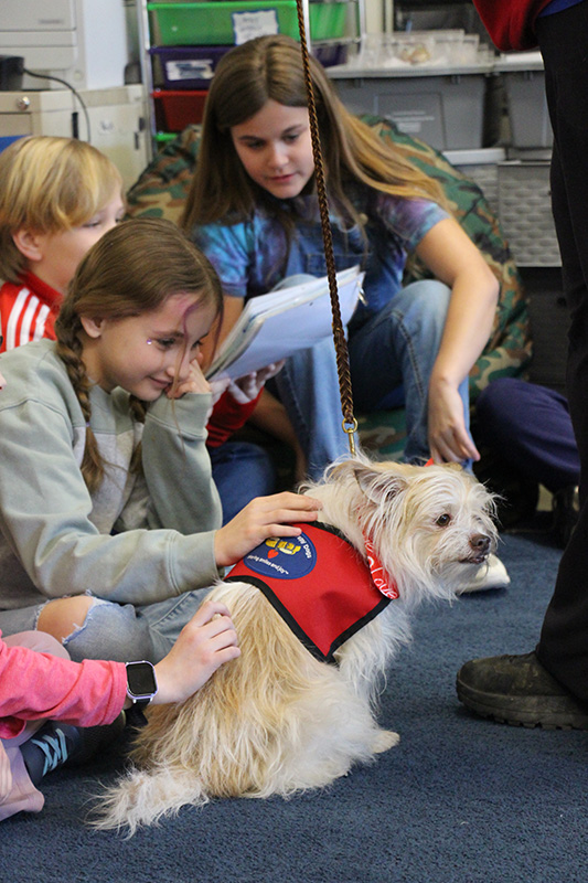 A fourth-grade girl pets a little white dog.