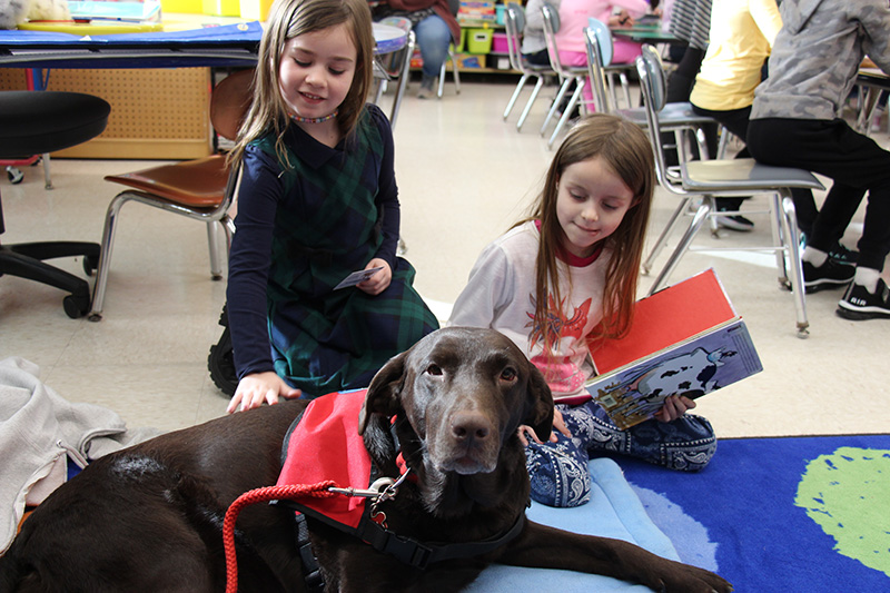 Two first-grade kids pet a large brown dow. One girl had a book she is reading to the dog.