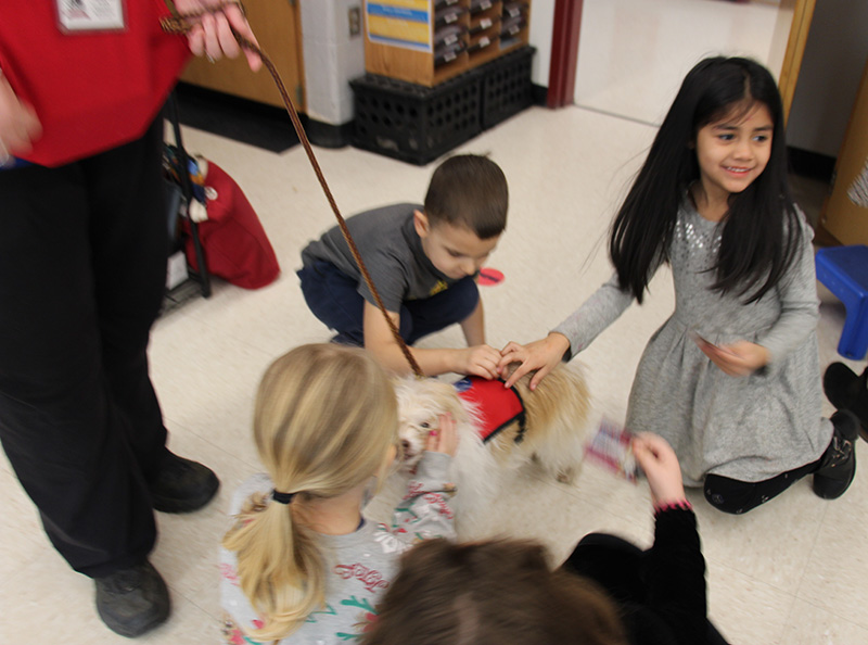 Four first grade kids pet a little white dog wearing a read vest.