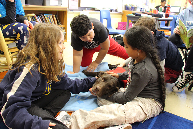 Four fourth-grade kids hug and pet a large brown dog.