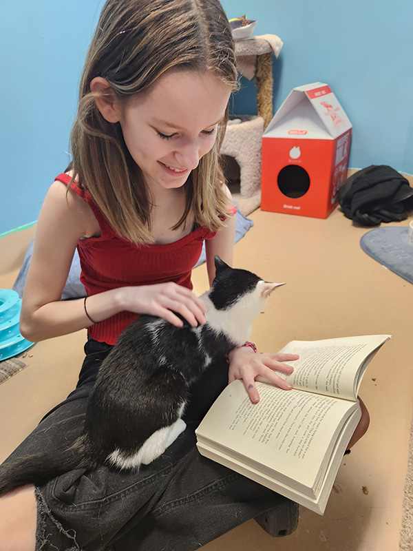 A middle school age girl in a red shirt smiles as she pets a black and white cat and reads a book.