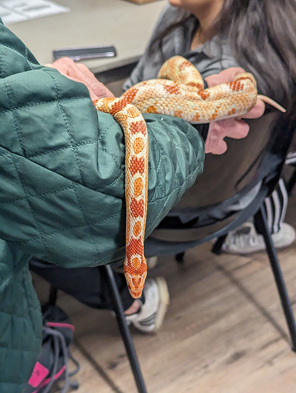 A close up of a person's arm in a green coat with a yellow snake on it.