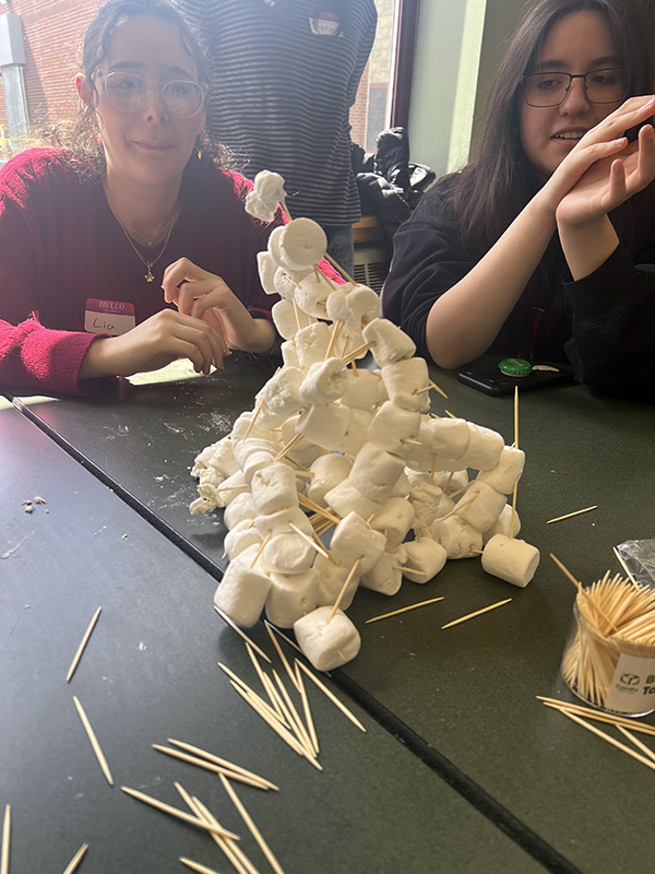 A large structure of marshmallows and toothpicks.