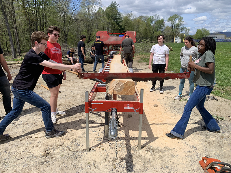 Two high school students use a very large crosscut saw cut through a large gree laying on a trailer.