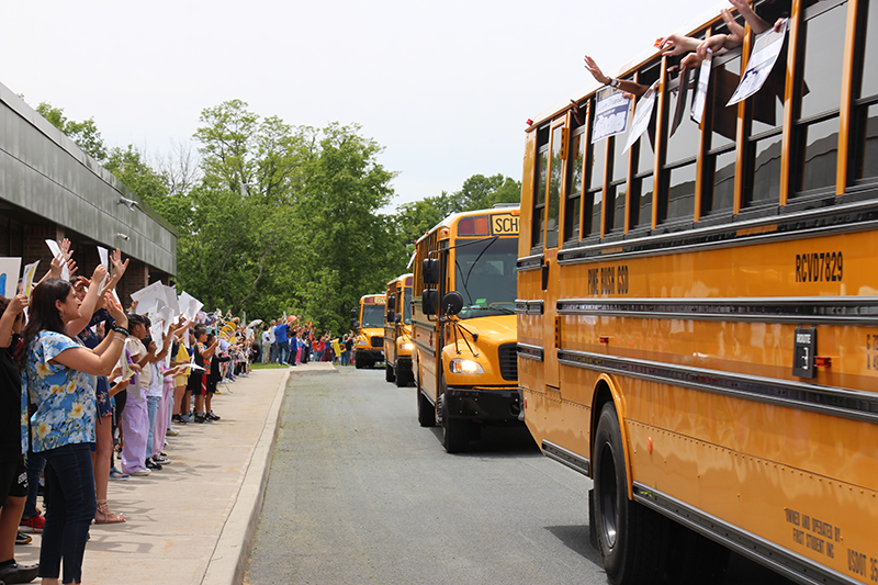 Large yellow school buses drive by cheering kids. Hands are hanging out of the bus windows waving to the kids.