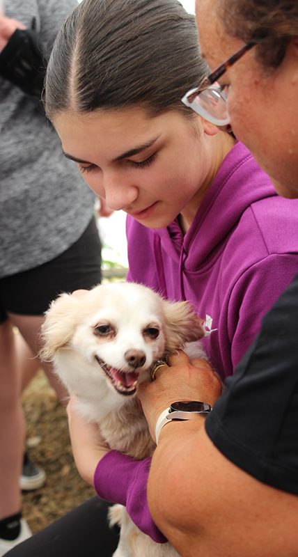 A middle school age girl wearing a purple shirt with long dark hair holds a little white dog.