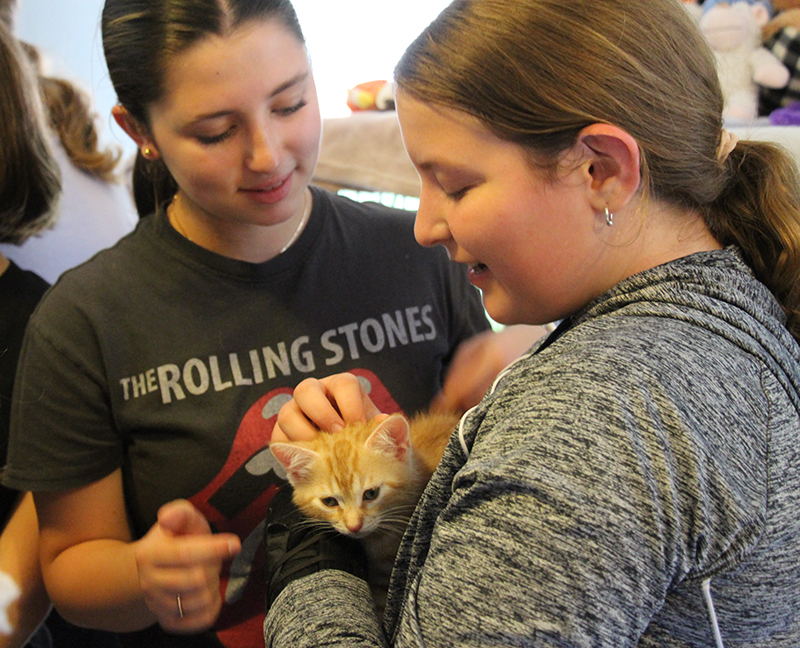 Two middle school age girls hold an orange and white kitten and pet her.