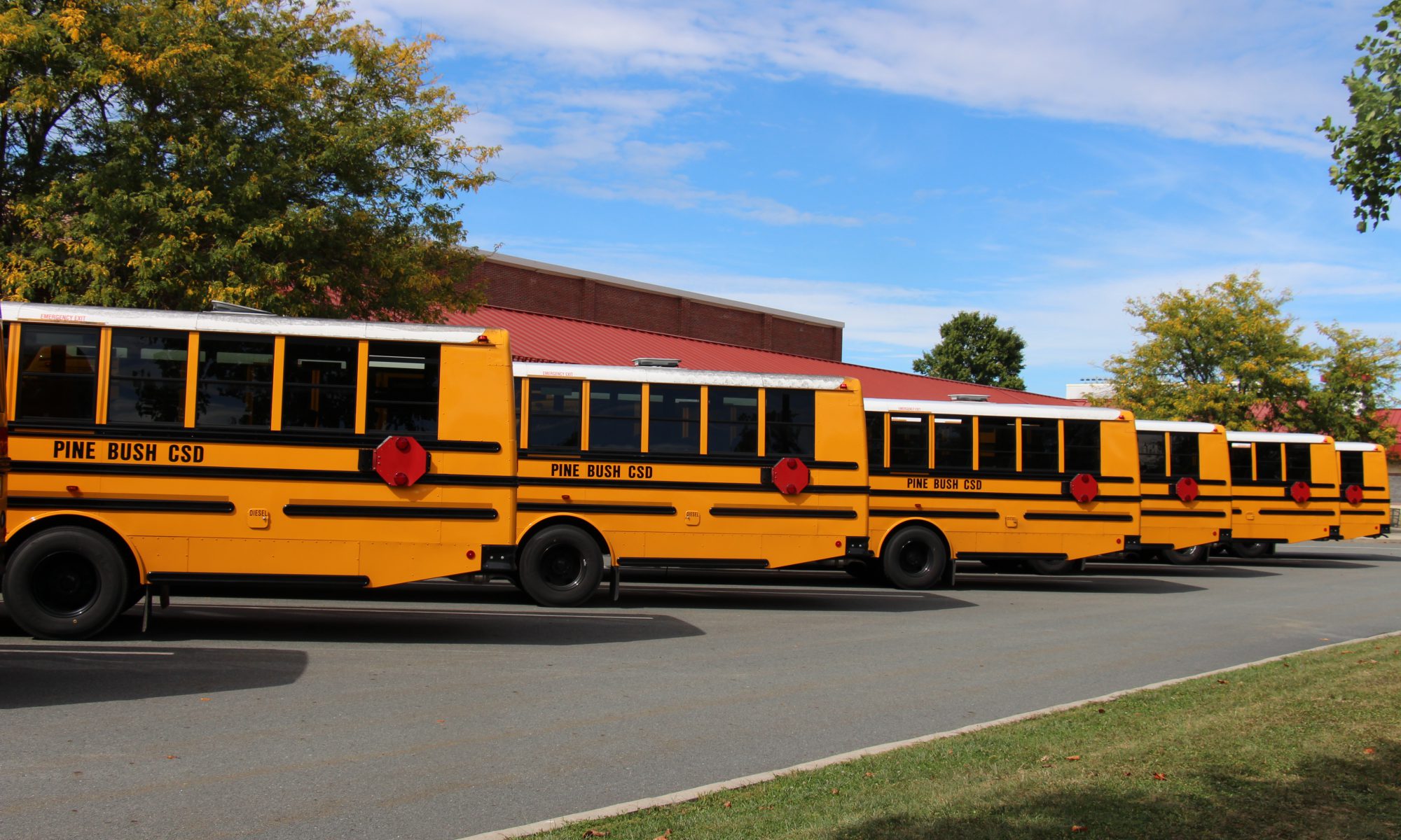 A blue sky with bright white clouds, a couple of trees on either side and a line of yellow school buses parked diagonally. they all say Pine Bush CSD on the side.