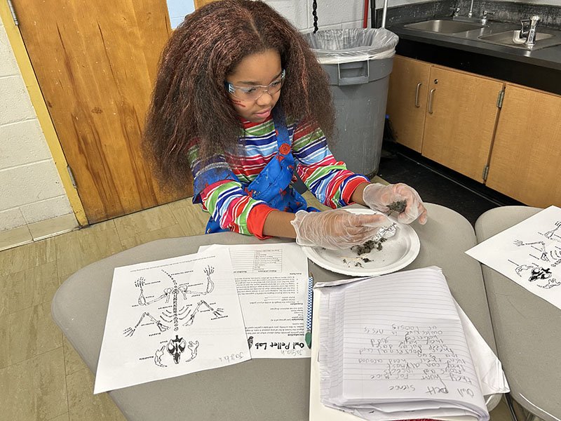 An elementary age girl with long dark hair works on a science project at a desk.