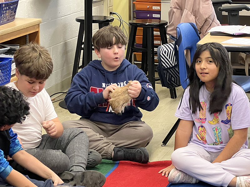 A fourth-grade boy in a blue shirt holds a pelt of deerskin.