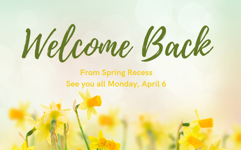 20260406 Welcome back from spring break slider Yellow daffodils along the bottom. Up top it says Welcome Back from spring recess See you all Monday April 6