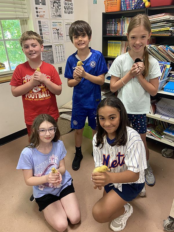 Five fourth-graders hold ducklings that just hatched.