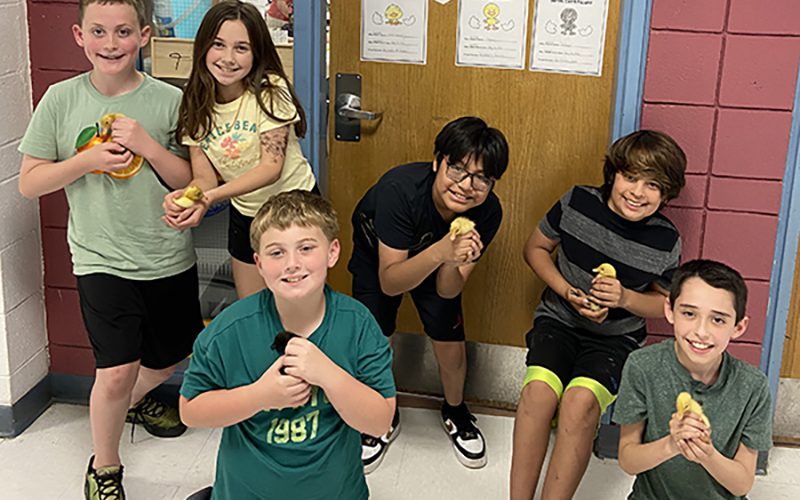 A group of six fourth graders hold little ducklings and smile.