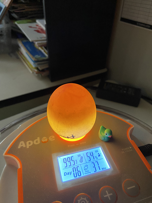 A large egg sits on an incubator and glows red and yellow.