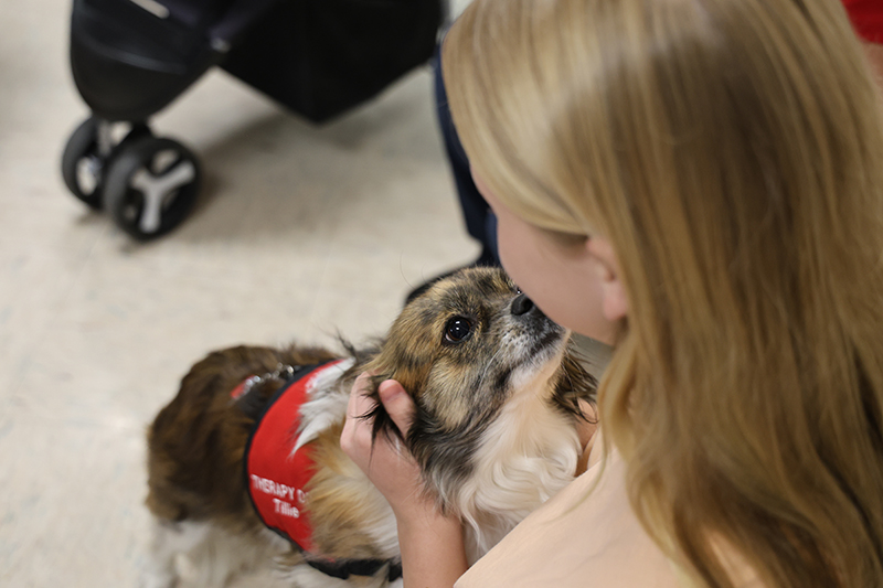 A high school girl with blonde hair pets a little dog.
