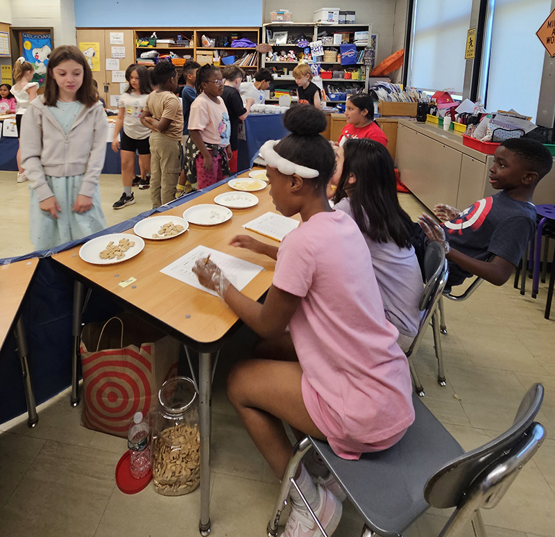 A fourth-grade girl sits at a table while another elementary school kid stands ready to taste food from two different plates.