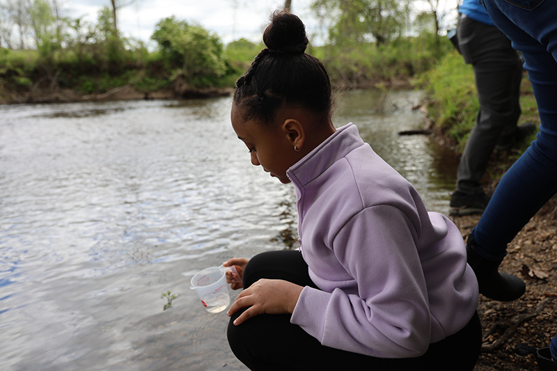 A girl in a purple jacket squats next to a stream with a cup in her hand, letting a fish swim into a stream.